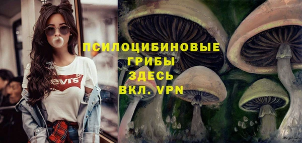 a pvp Алзамай