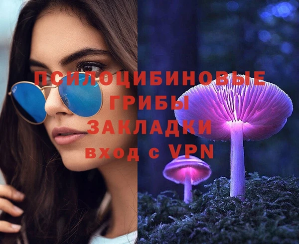 spice Алексин