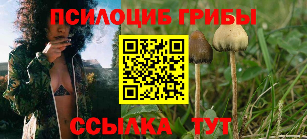 Саянск  Псилоцибиновые грибы мухоморы  Галлюциногенные грибы ЛСД  Вход с VPN 